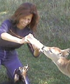 Animal Communicator Jane Broccolo