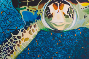 "Swimming with Sea Turtles" by Susan Clifton